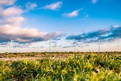 Landschaft mit Wiesen und Windrädern