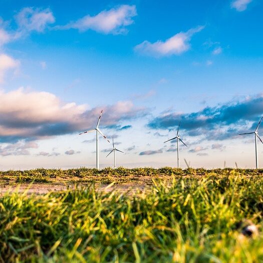 Landschaft mit Wiesen und Windrädern