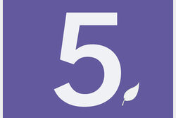 Die Zahl Fünf für "Fünf gute Gründe für Ökoprofit"