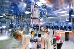 Innovative bei Bayer Pharma in Wuppertal