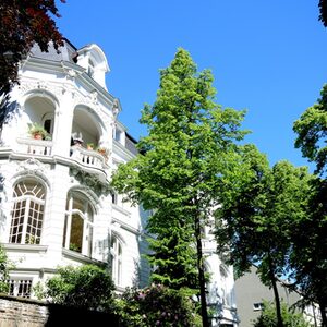 Reich verzierte Fassade einer Villa aus dem Briller Viertel